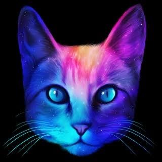 devnicolas1's profile picture. Software Developer