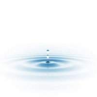 Osama Muhammad Sharif (@osama_m_sharif) 's Twitter Profile