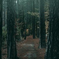 هفت (@aradyazdanii) 's Twitter Profile