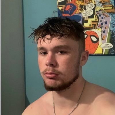rolowolves's profile picture. Wolves