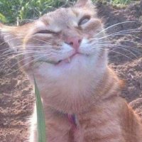 ZAIN (@zeazr4) 's Twitter Profile