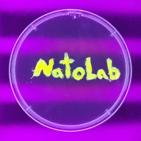 Natolab (@thenatolab) 's Twitter Profile Photo Natolab (@thenatolab) 's Twitter Profile Photo