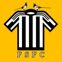 FootballShirtsFC(@fsfcUK) 's Twitter Profileg