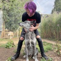 Jack Wheeler (@jackwheeler) 's Twitter Profile
