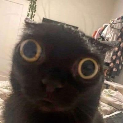 Seeyainhell__'s profile picture. 20^