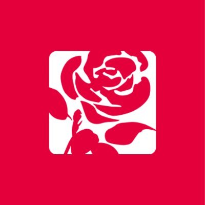 Redbridge Labour Profile