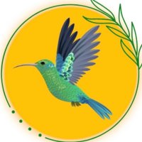 Hummingbird mobile notary(@Hummingbirdmob1) 's Twitter Profile Photo