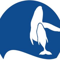 Whale Trust (@whaletrust) 's Twitter Profile