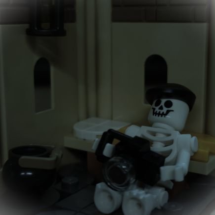 43 year old AFOL, into City, Marvel, Ninjago, HP, SW and Modulars. I share my love of Lego with my son through Lego Minecraft.