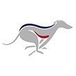 @nottingham_dogs