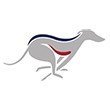 Greyhound Racing: Monday 6.38pm, Wednesday 10.54am, Thursday 10.54am, Friday 5.56pm. Bookings Office: 0115 910 3333 info@nottingham-greyhounds.co.uk