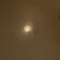 Bert Nijman (@bertnijman) 's Twitter Profile