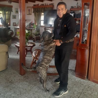 ALFONZO36551633's profile picture. Viajes