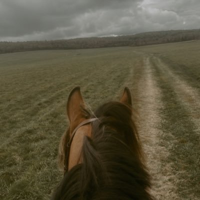 nikkimacbarn's profile picture. 