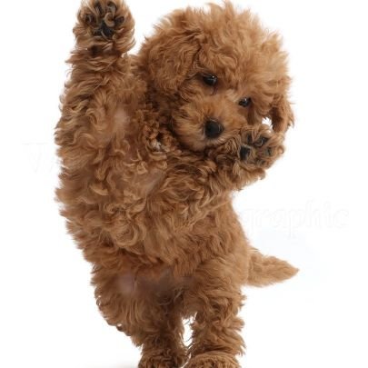 EllenMatt3's profile picture. I'm too simple