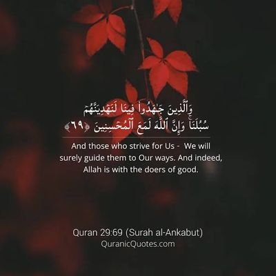 shoaibindia's profile picture. Proud to be Muslim. Interested in religion & politics. 
Worship the CREATOR(Allah) not CREATIONS(sun, moon, human, idol etc).