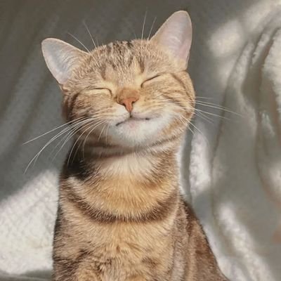 Hellen888376861's profile picture. quiser desabafar 16996092011