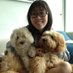 Stephanie Au (@stephanieoyau) Twitter profile photo Stephanie Au (@stephanieoyau) Twitter profile photo