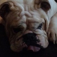 Plisno (@plisno_) 's Twitter Profile