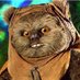 Alex Kerridge (@kerridge_alex) Twitter profile photo Alex Kerridge (@kerridge_alex) Twitter profile photo