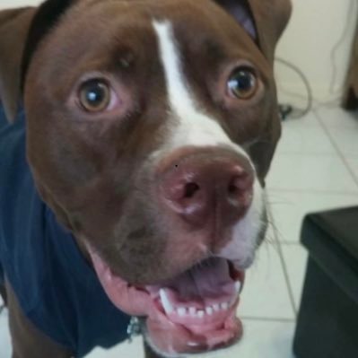 LonnieTsunami's profile picture. 