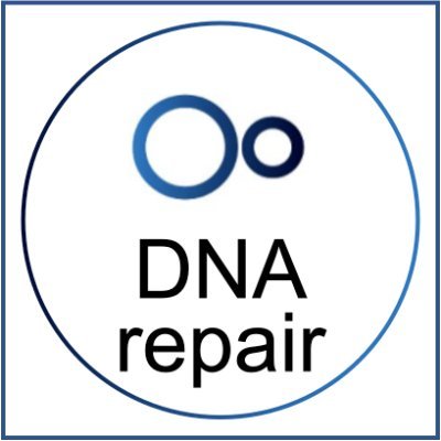 Daily updates on DNA damage and repair.