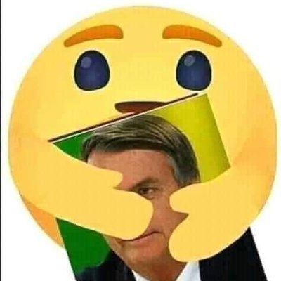 Conservador, a favor da vida, da família, dos valores tradicionais, Avante Brasil! #Bolsonaro2022