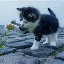 誰でも実践できるかんたん副業を紹介しています💫スマホがあればどこでもお仕事可能♪自分のペースでできる時にやれます❤私自身3ヵ月で月100万達成しました♡本気で現状を変えたいと思っている方を無料でサポートしてます✊無言フォロー失礼します🙏