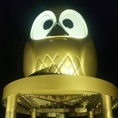 S株中心のコツコツ投資家🌱です!
日本株/高配当株/株主優待/投信などなど
投資勧誘・情報商材等必要ありません😊DM見ません🙄
🌟無言フォロー失礼します。
いろいろ勉強させていただきます🌟