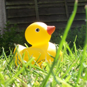 Abby Black - @cupcakelit - Twitter