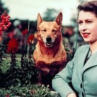 GFCWatch's profile picture. Monitoring what David Crane & Govern for California are doing to impose Manchin/Sinema style politics on California.