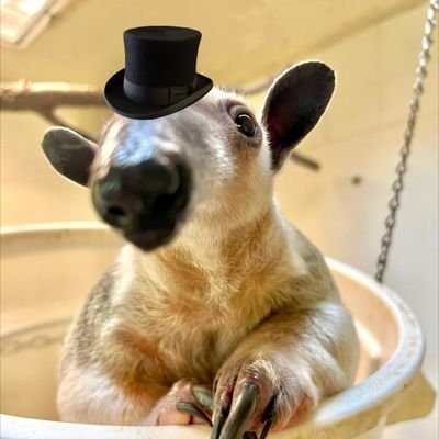 maybenotmatt's profile picture. :)