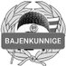 Bajenkunnig (@bajenkunnig) Twitter profile photo