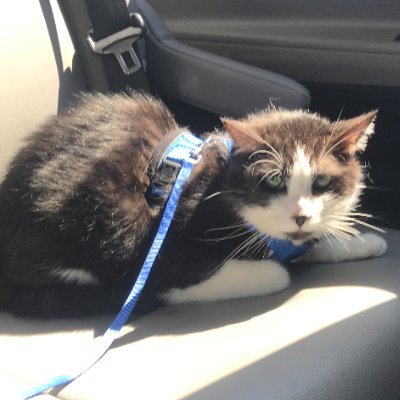 isabella93021's profile picture. 