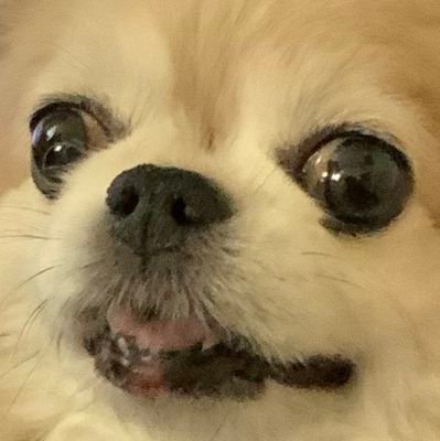 Camju No. 8さんのプロフィール画像