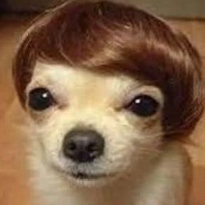 elKolorexiste's profile picture. take it like music: ambitions and venting around (here lies José Ph Kazike)