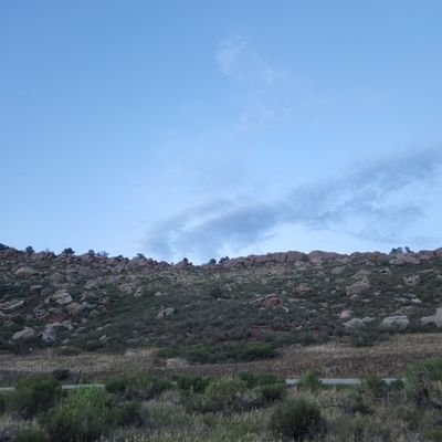 TylerJTeague's profile picture. Grateful family man.