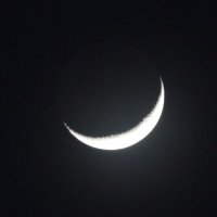 🏳️‍⚧️👁️SunlightVi🕸️🏳️‍⚧️ (@sunlight_vi) 's Twitter Profile