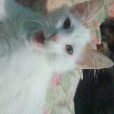 paulaminaya9's profile picture. 13🔆