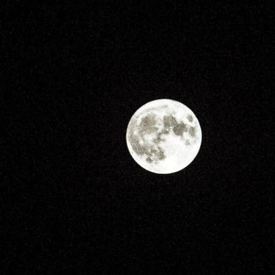 Torabbeygii's profile picture. پس از دشواری آسانیست ناچار
ولیکن آدمی را صبر باید