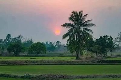 KatnPhu's profile picture. 