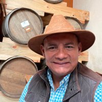 Pedro Gabriel (@pedrogabrielhgo) 's Twitter Profile