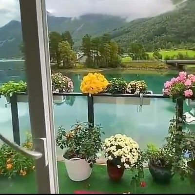 martinfin4's profile picture. ⛱️🥰🌺🥂🍶🍻👌