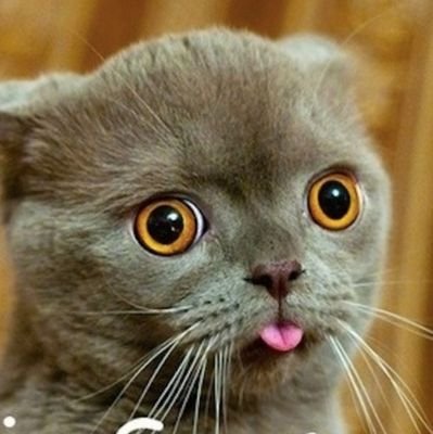 csdaught's profile picture. 