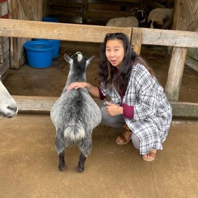 madisonvestfals's profile picture. BGSU ~ tOSU