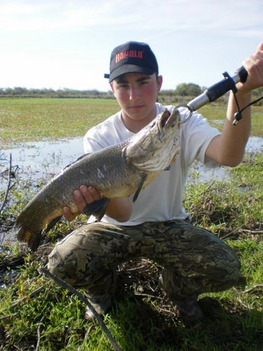 salidasdepesca's profile picture. Salidas de pesca y ventas de articulos de pesca y camping.
Contactate al CEL/WP:1140978396