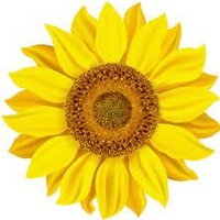 LMH (@lolopalooza7) 's Twitter Profile Photo