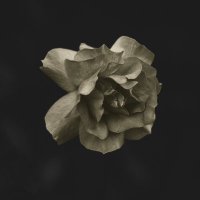 GLDMTH (@gldmth_) 's Twitter Profile