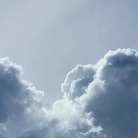 Westerosi Hermit (@westerosihermit) 's Twitter Profile Photo