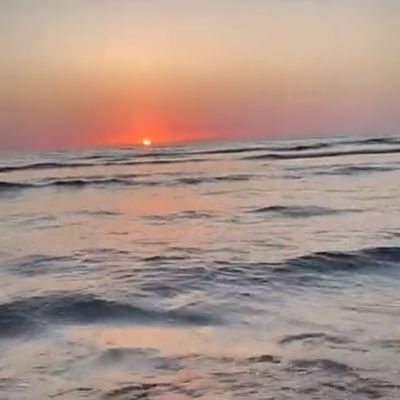 zrf277's profile picture. ♔ الله يغنينا من فضله♔